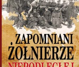Nasza historia. Zapomniani żołnierze Niepodległej. Polskie wojsko w Rosji 1914-1920