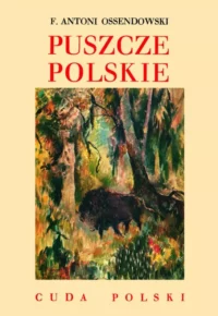 Puszcze polskie - Antoni Ferdynand Ossendowski