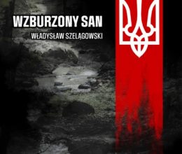 Wzburzony San